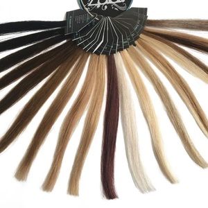 Zala hair color wheel